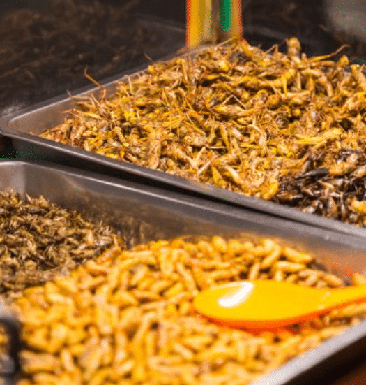 Colorado Food Poisoning Lawyers